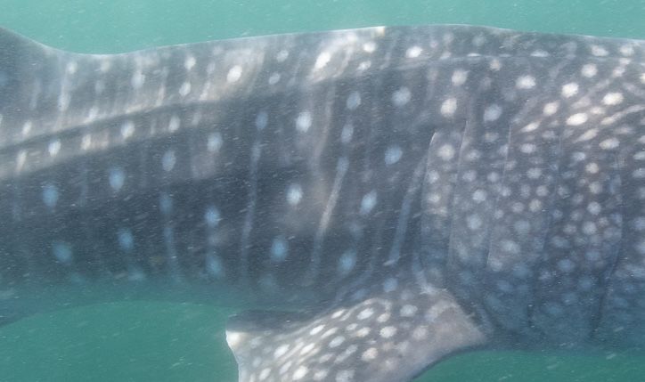 9e5a6967-63eb-42c8-9581-c6c806137860