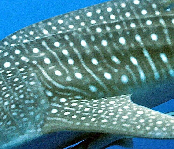 3ff86a23-1cc2-4616-93e2-91f4ec1c07aa