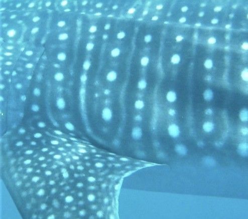 3fed9289-3e96-4abc-97dc-394dda1f49fa