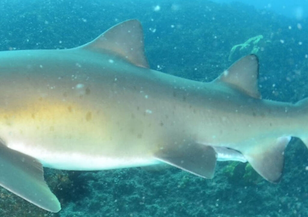 ec5397f2-8e6e-454a-ac9f-467c716a51f1