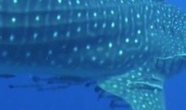 46014880-b765-4a0a-a7b3-276b18034c6a