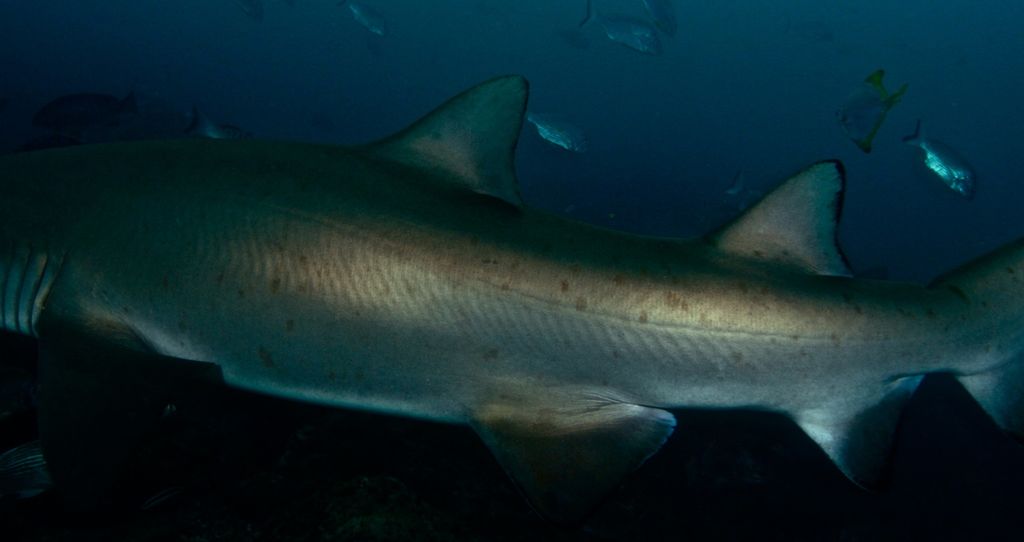 840650de-8baf-4a53-926c-a3eb7938d035