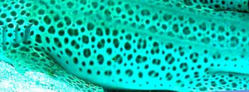 f4678981-79b6-4eac-97d0-87f80390dcc3