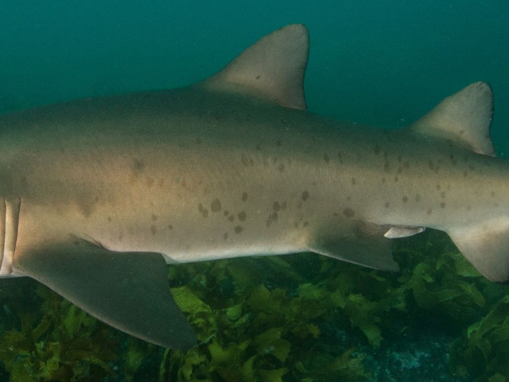 a7a22f37-5079-43c6-afbb-35325b012001