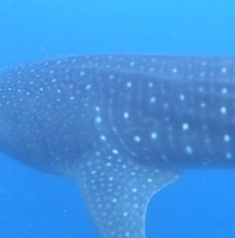 4d546369-633b-4f66-bc15-127d084b1bca