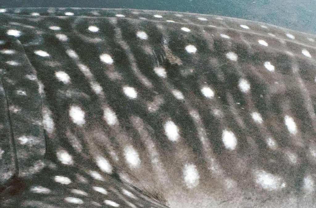 1efed366-7383-423e-b1fc-61dfacfc4554