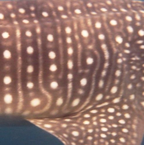 c80eaafa-7d63-4397-812a-b24f5ea5a693