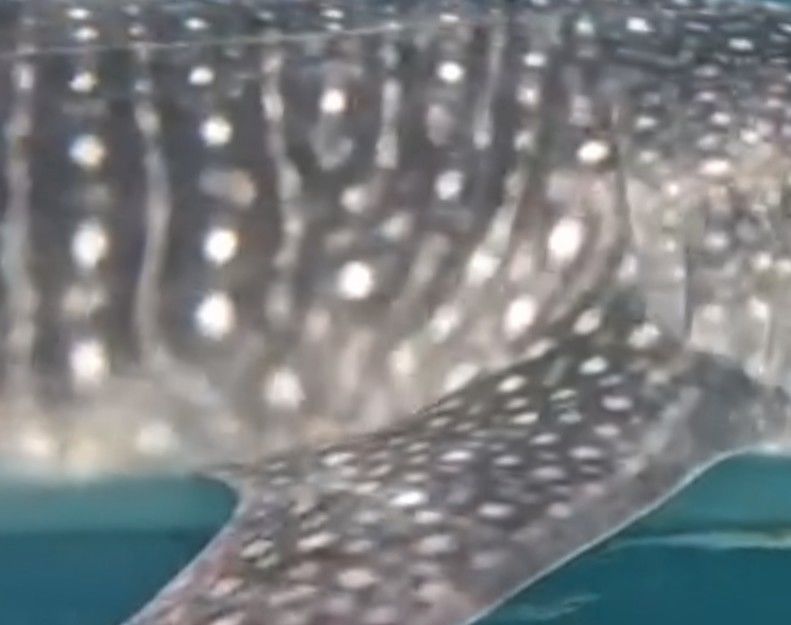 3eaf382e-8429-43ec-94c7-f279c5a73de4