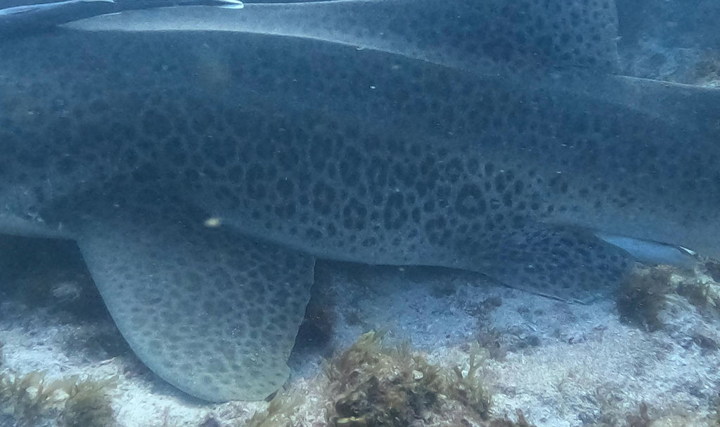 9a20f94f-7c8b-4476-8c86-db3ee513e758