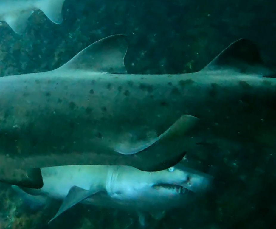 767ab760-c3a0-49fc-9e8b-66a0152561b4