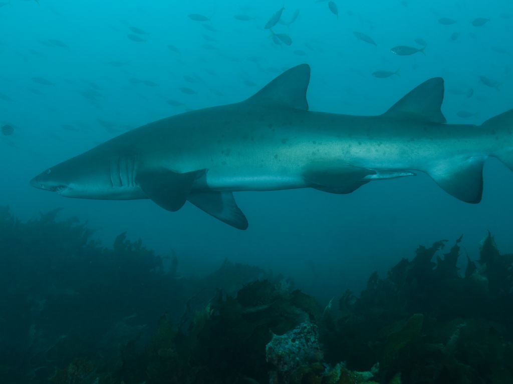 233dbbf9-64dc-489e-98a0-60d603dccd56