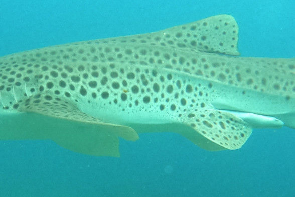 6da96ec4-1b5a-427a-a643-9028f7737e40