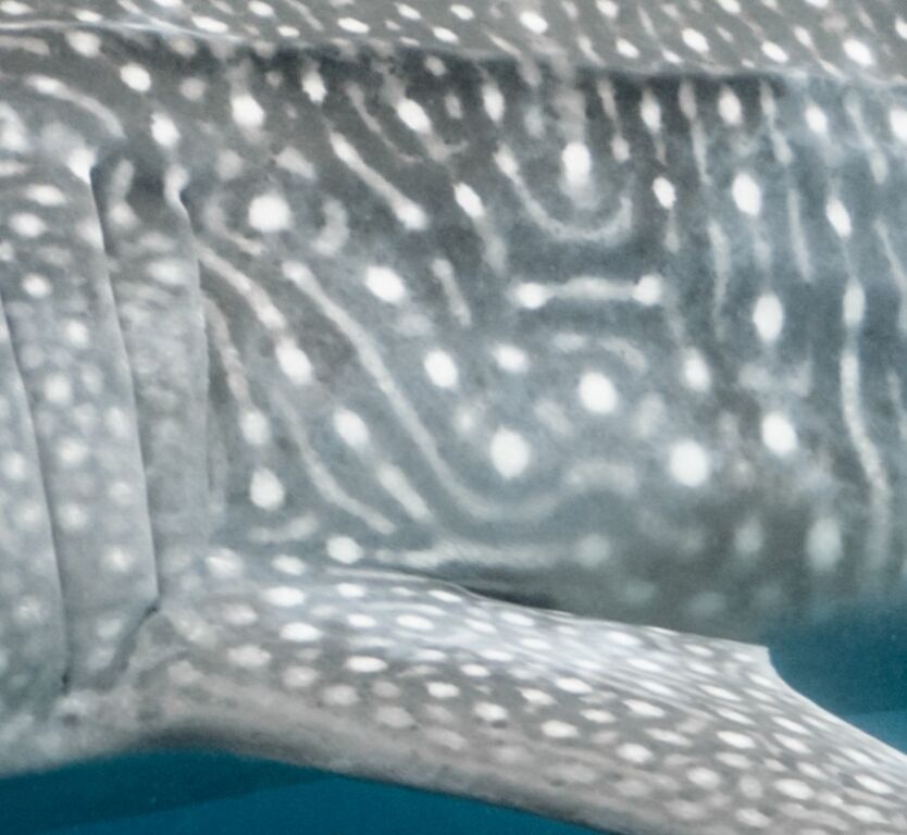 b38ef2c0-1a90-4683-ae43-94f9cfc7c109