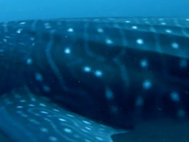 06c9f970-6a20-430f-8fa6-e4d7df806182