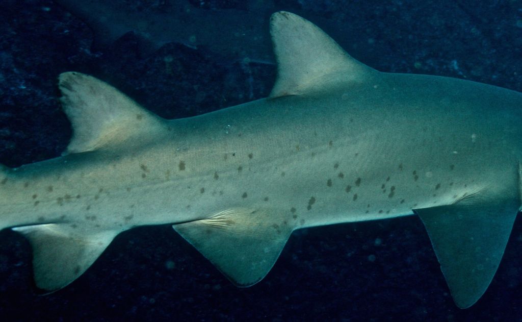 49a60bfc-5ec3-47c7-8149-61318fc7a46d