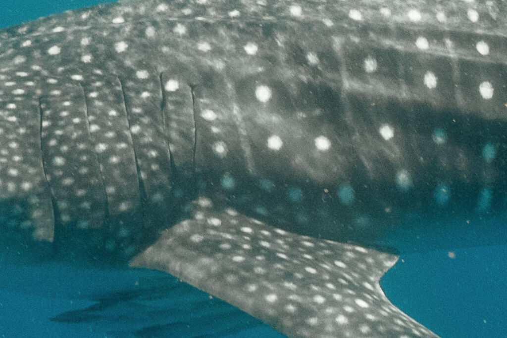 5a70d015-a2ac-4576-b348-fe1d0077b53a