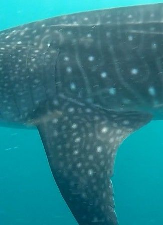 4ef3bcee-d903-4356-9cfc-5a56345f7595