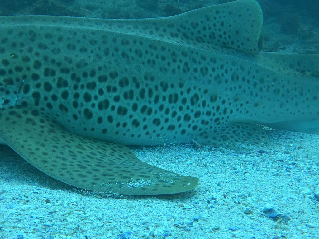 90f32672-7c4e-40b7-8abc-270b8c38fabd