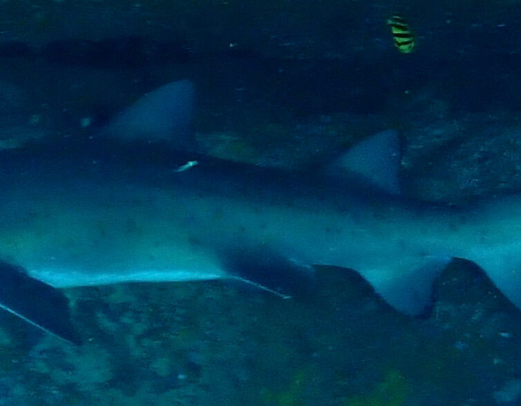 2013a88f-3541-42c9-b514-abaebba5186b