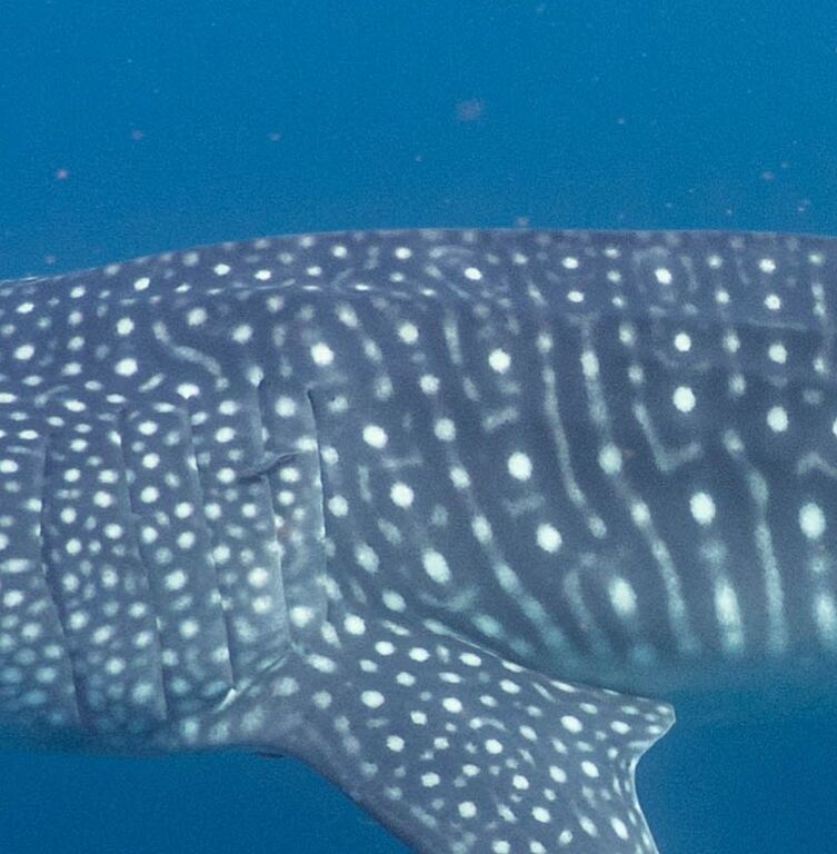 d3a162ae-b625-4f24-a7b0-40b69680b70b