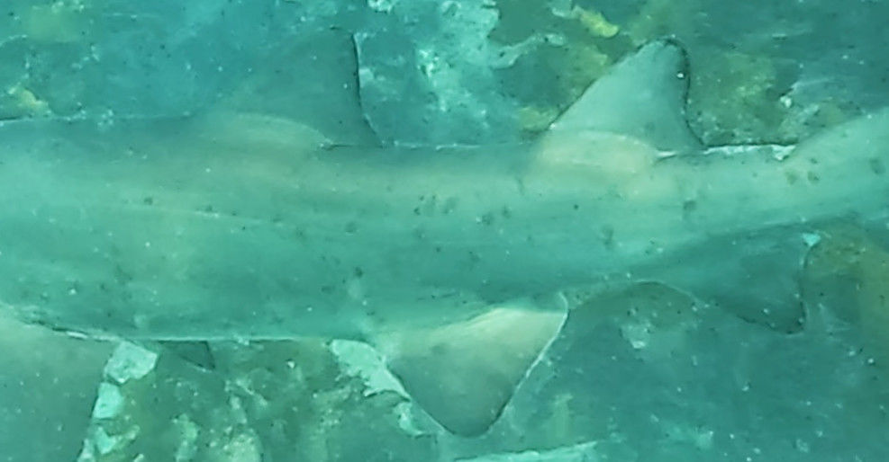 b666afcd-9b8d-4545-ba97-7194235fd600