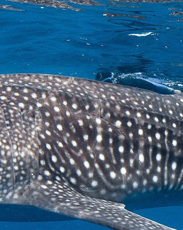 c9f28a12-fc62-405a-84aa-ec76ecc1ac63