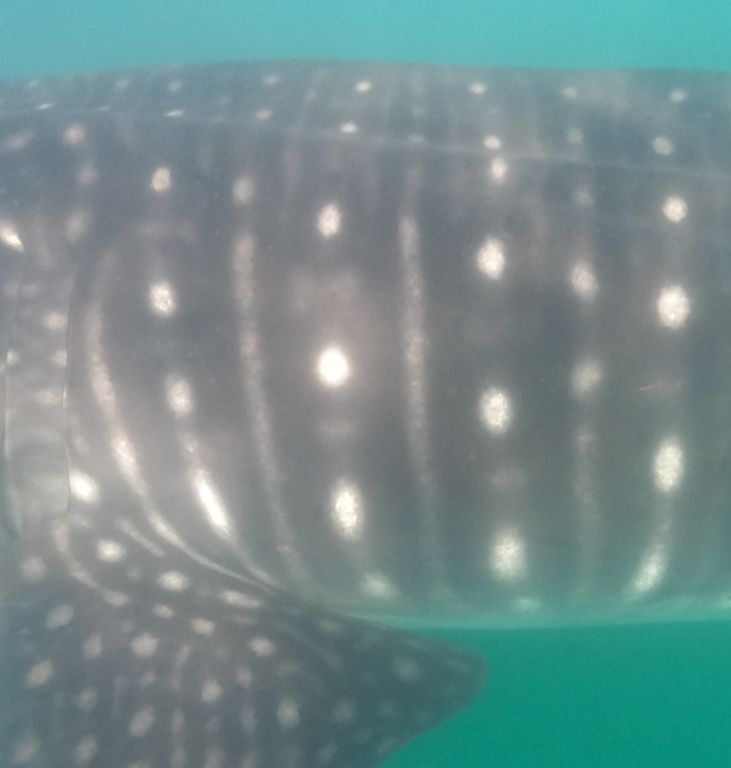 7166fd52-fcb2-4ba5-bc03-2a03fa2b74fd