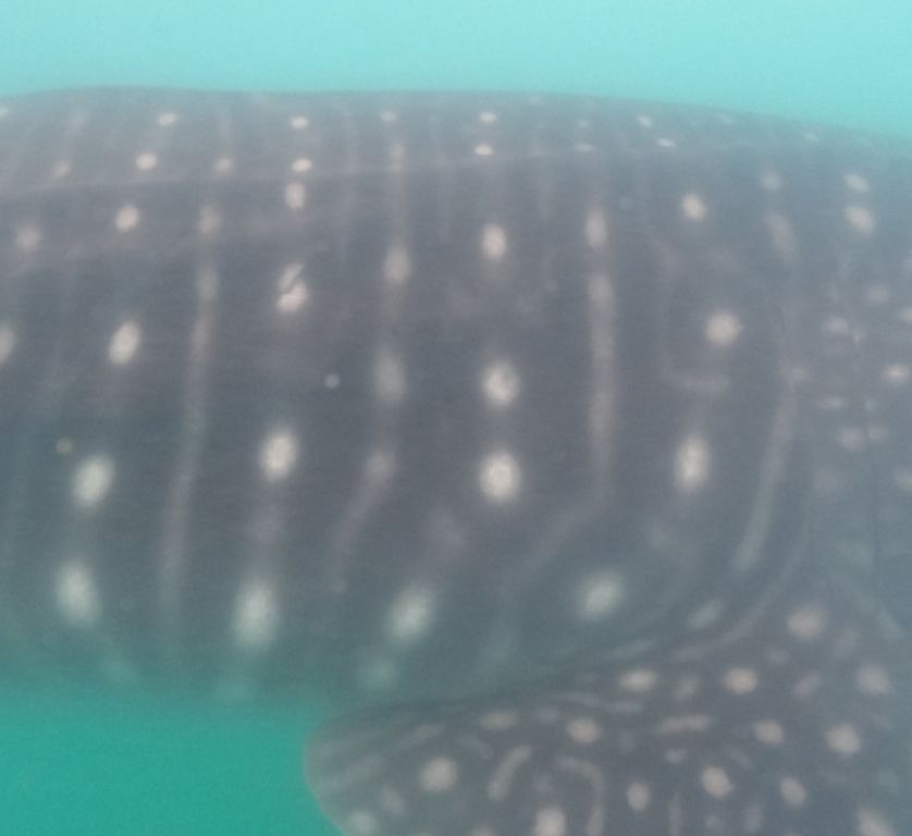 7166fd52-fcb2-4ba5-bc03-2a03fa2b74fd