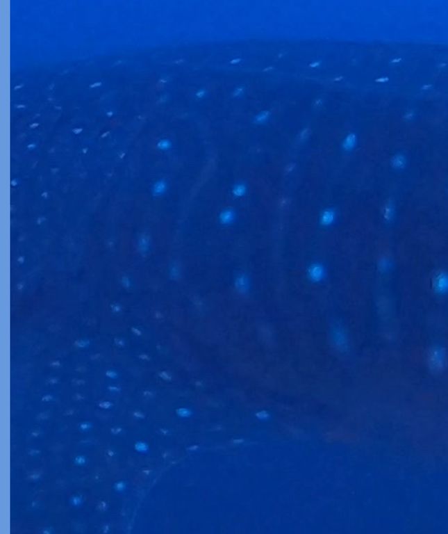 defaacfb-cca9-4977-af3d-fc8de6224f8d