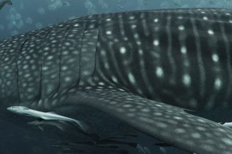 40c178b3-aaea-49ec-879a-8c9675224c02