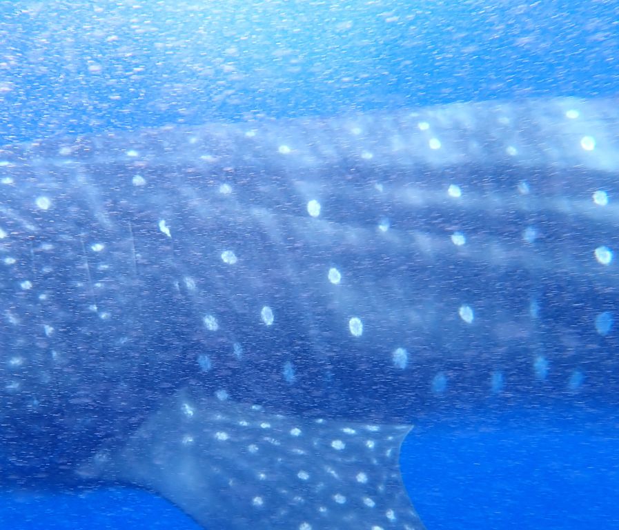 5f411111-5ae7-4fd7-b6b5-aaada5308009