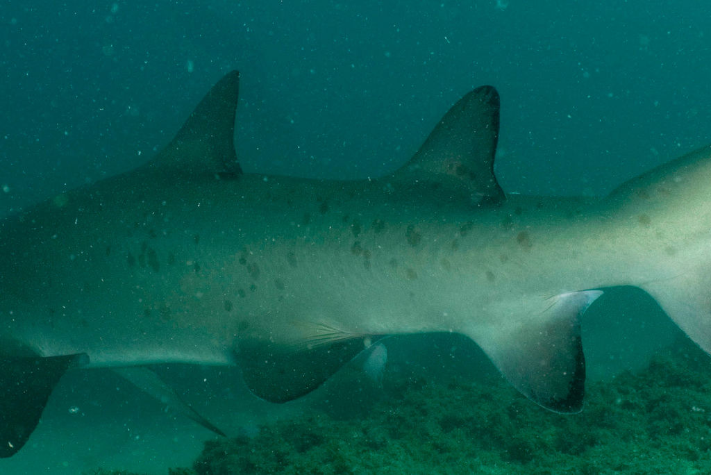 c1dcd73a-a8cd-495e-b5a2-40e0cbbc9307