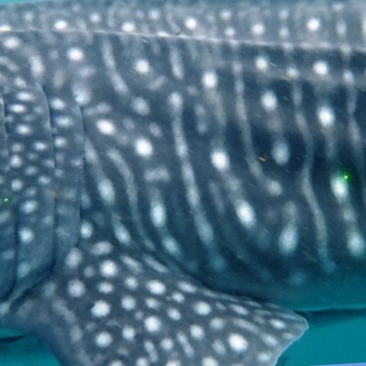 036a527c-9322-4486-9242-0f2e673d24f8