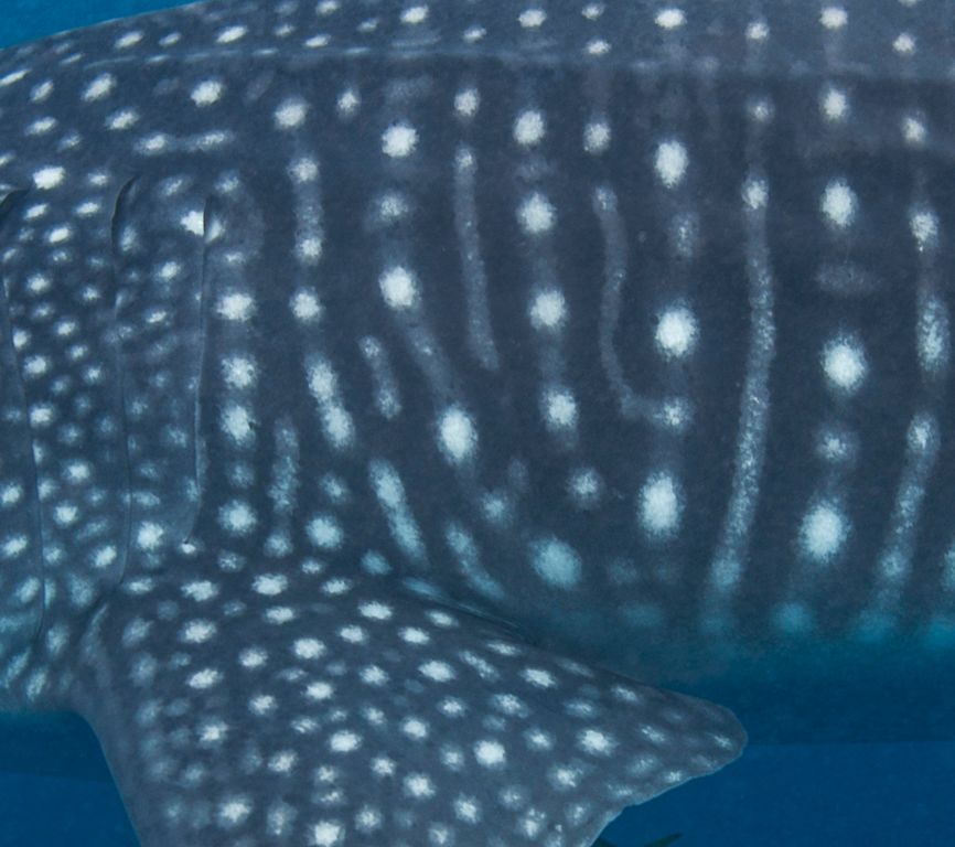 7397b638-2050-4b7d-9d4f-c487748890c4