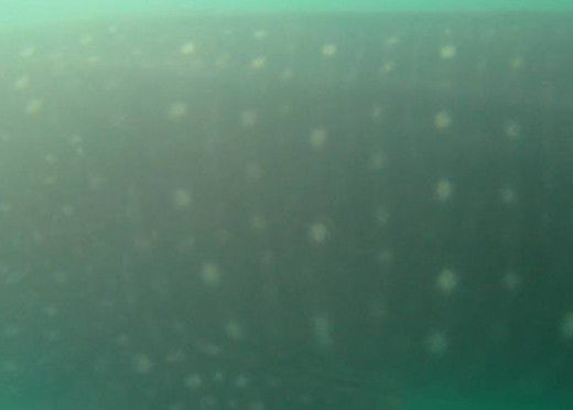 9a6c8b76-274f-4a1d-bcb2-0226797da2e1