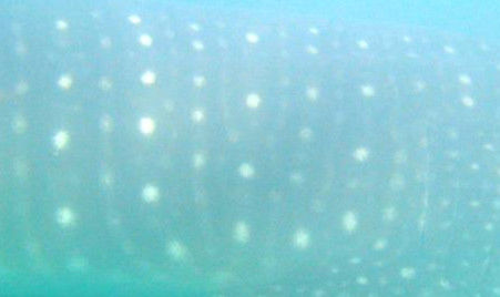 9a6c8b76-274f-4a1d-bcb2-0226797da2e1