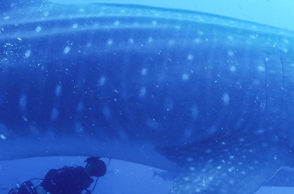 dc8613d2-1c04-49a2-8596-e620c5e321bc