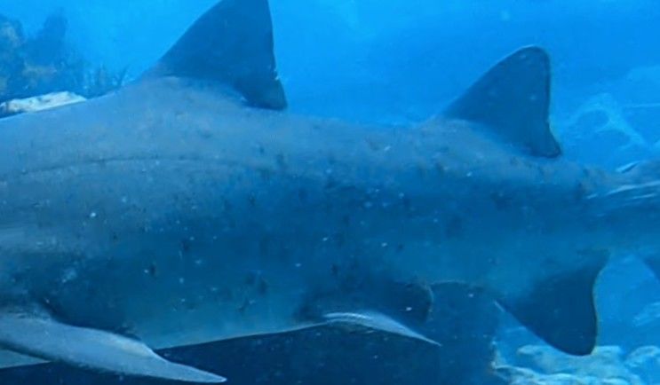 0dc06a6a-50b3-4e70-b7d3-15c5b3c37d59