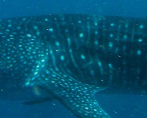 b378c918-16fd-4646-a83f-f6597f280a61