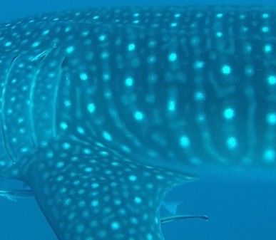 1d6050b8-2cb9-4a5a-8bf2-15252ba17c8b