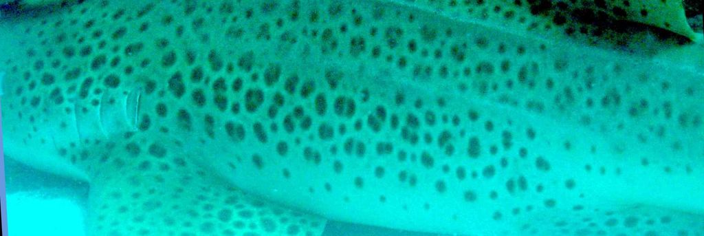 757db01b-343e-4d77-ae87-f54fcfd2884c