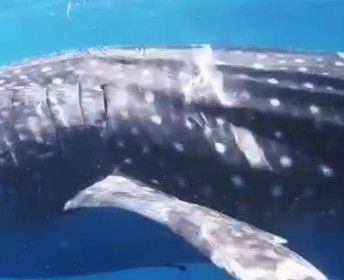 8ed059d5-294e-4a71-95ad-38a7fb28935b