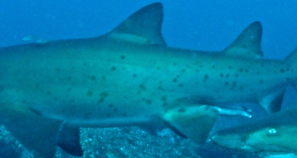 3f7d869e-7dfa-462d-8d77-a473cf758a16