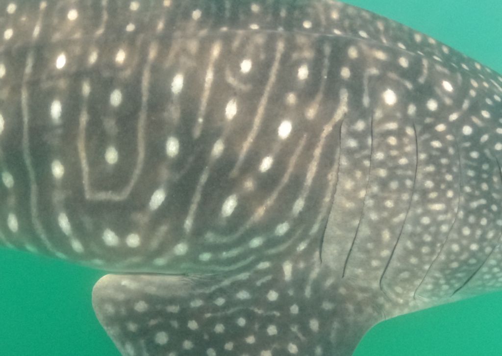 8756d176-3063-4010-828d-b3199fdffb62