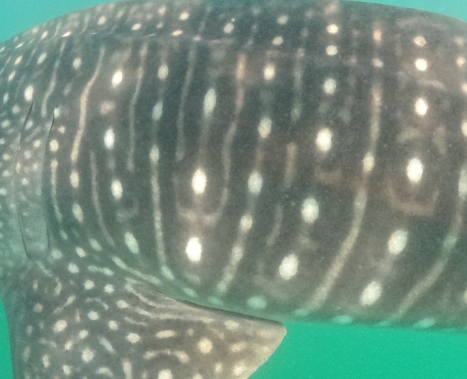 8756d176-3063-4010-828d-b3199fdffb62