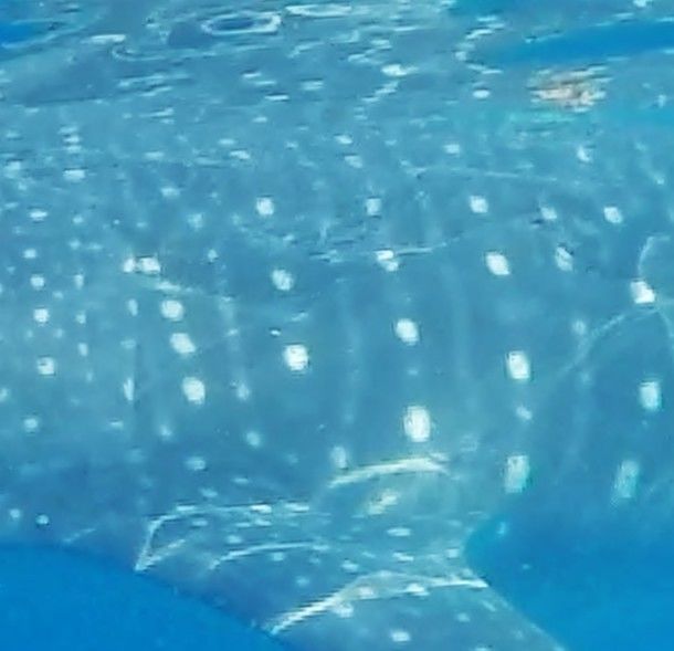 a2e3a6d3-0194-4a8e-a943-27cfb6ba3718