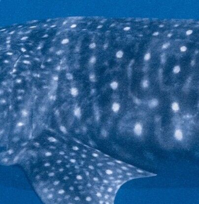 10783895-f875-4e58-9fae-41347ec02fdb