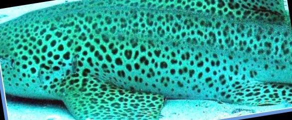 df1e2ddb-366e-4428-b361-433717f94ac3