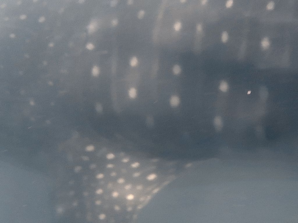 a2a1f6e7-9ab0-4d0e-b925-1b2e66a086b5