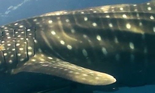 b576d5db-47b4-417b-8549-cbab7393d1bf